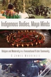 Capa do artigo Indigenous Bodies, Maya Minds