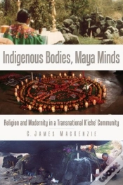Capa do artigo Indigenous Bodies, Maya Minds