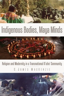 Capa do artigo Indigenous Bodies, Maya Minds
