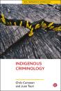 Indigenous Criminology - Preview