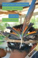 Indigenous Modernities In South America