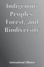Indigenous Peoples, Forest, And Biodiversity - Preview