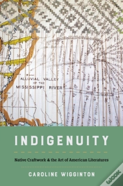 Capa do artigo Indigenuity