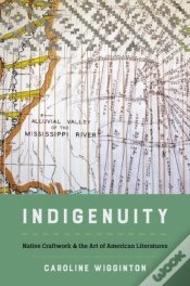 Capa do artigo Indigenuity
