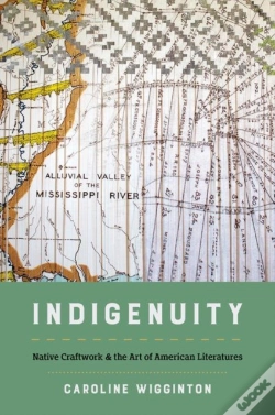 Capa do artigo Indigenuity
