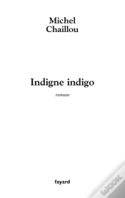 Capa do artigo Indigne Indigo