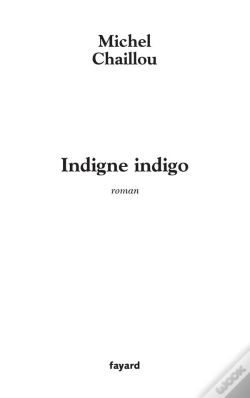Capa do artigo Indigne Indigo