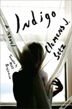 Capa do artigo Indigo - A Novel