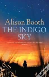 Capa do artigo Indigo Sky