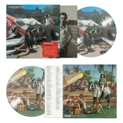 Capa do artigo Indiscreet - Vinil