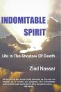 Indomitable Spirit - Preview
