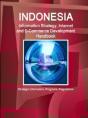 Indonesia Information Strategy, Internet And E-Commerce Development Handbook - Strategic Information, Programs, Regulations - Preview