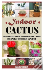Indoor Cactus
