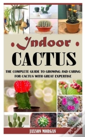 Capa do artigo Indoor Cactus