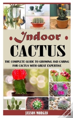 Capa do artigo Indoor Cactus