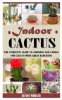 Indoor Cactus - Preview