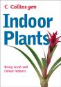 Indoor Plants - Preview