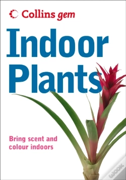 Capa do artigo Indoor Plants
