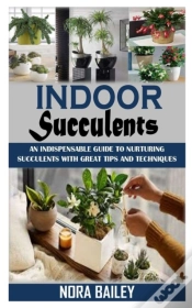 Capa do artigo Indoor Succulents