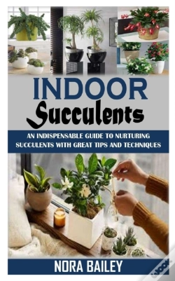 Capa do artigo Indoor Succulents