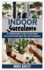 Indoor Succulents - Preview