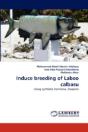 Induce Breeding Of Labeo Calbasu - Preview