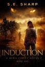 Induction - Preview