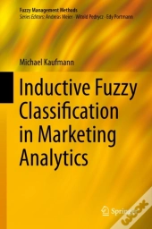 Inductive Fuzzy Classification In Marketing Analytics