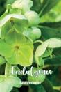 Indulgence - Preview