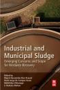 Industrial And Municipal Sludge - Preview