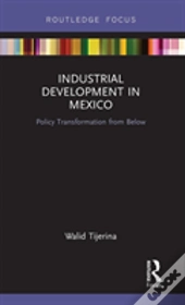 Industrial Development In Mexico