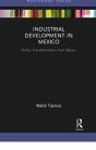 Industrial Development In Mexico - Preview