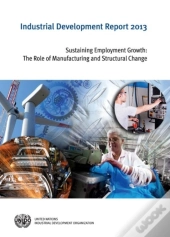 Industrial Development Report 2013