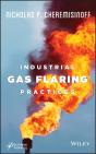 Industrial Gas Flaring Practices - Preview
