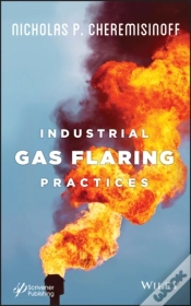 Capa do artigo Industrial Gas Flaring Practices