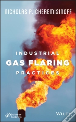 Capa do artigo Industrial Gas Flaring Practices