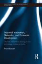Industrial Innovation, Networks, And Economic Development - Preview