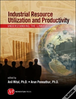 Capa do artigo Industrial Resource Utilization And Productivity