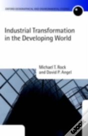 Capa do artigo Industrial Transformation In The Developing World