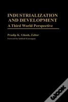 Industrialization And Development