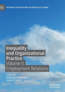 Inequality And Organizational Practice
