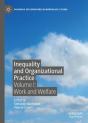 Inequality And Organizational Practice - Preview