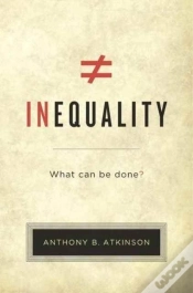 Capa do artigo Inequality