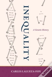 Capa do artigo Inequality