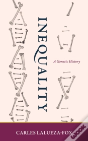 Capa do artigo Inequality