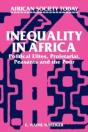 Inequality In Africa - Preview