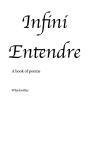 Infini Entendre - Preview