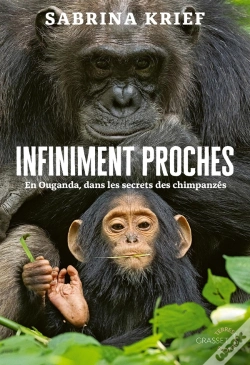 Capa do artigo Infiniment Proches : En Ouganda, Dans Les Secrets Des Chimpanzés