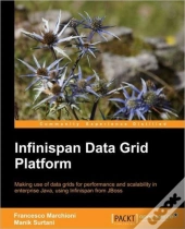 Infinispan Data Grid Platform