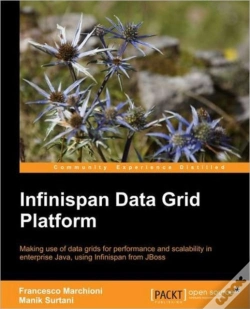 Capa do artigo Infinispan Data Grid Platform